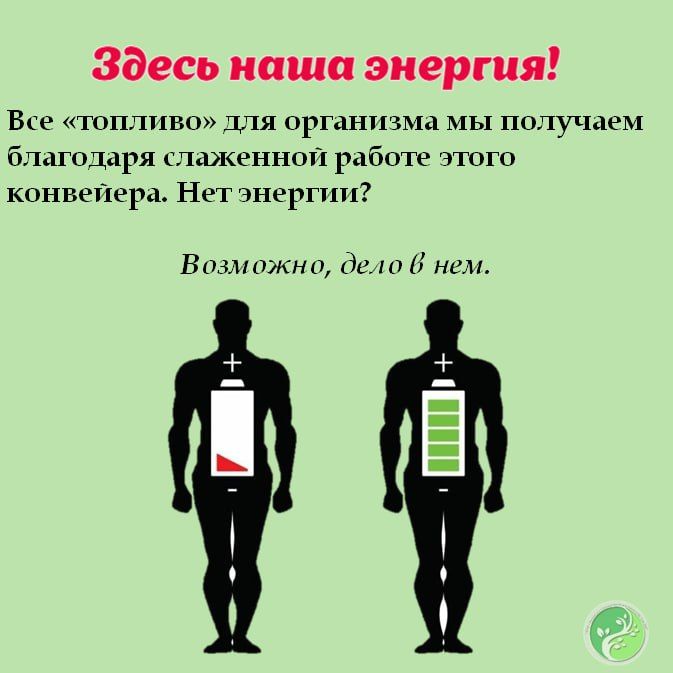 Эта неделя посвящена здоровью желудочно-кишечного тракта — нашего внутреннего супергероя, который трудится без выходных и отпусков! Эта неделя посвящена здоровью желудочно-кишечного тракта — нашего внутреннего супергероя, который трудится без выходных и отпусков!