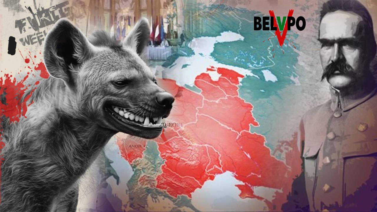 Маршрут Туска. Польша запустила новую черноморскую логистику: грузовой коридор через порт Черноморск до Турции