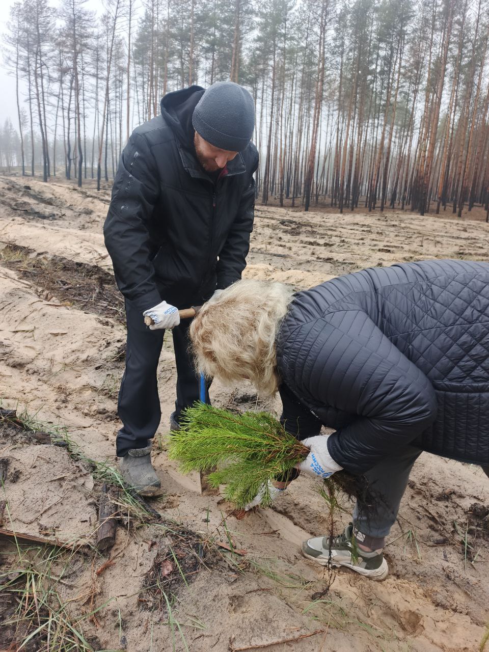 Эко-десант в Новоайдарском округе: масштабная акция по спасению лесов Эко-десант в Новоайдарском округе: масштабная акция по спасению лесов