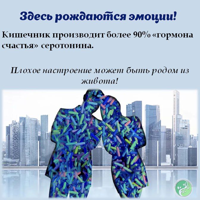 Эта неделя посвящена здоровью желудочно-кишечного тракта — нашего внутреннего супергероя, который трудится без выходных и отпусков! Эта неделя посвящена здоровью желудочно-кишечного тракта — нашего внутреннего супергероя, который трудится без выходных и отпусков!