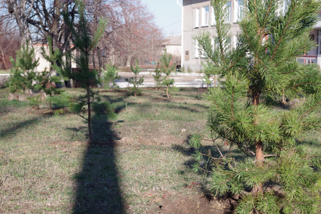 Сергей Крамаренко: Благодаря деятельности автономной некоммерческой организации «Сад памяти» уже второй год подряд в новых субъектах Российской Федерации реализуются экологические гуманитарные программы Сергей Крамаренко: Благодаря деятельности автономной некоммерческой организации «Сад памяти» уже второй год подряд в новых субъектах Российской Федерации реализуются экологические гуманитарные программы