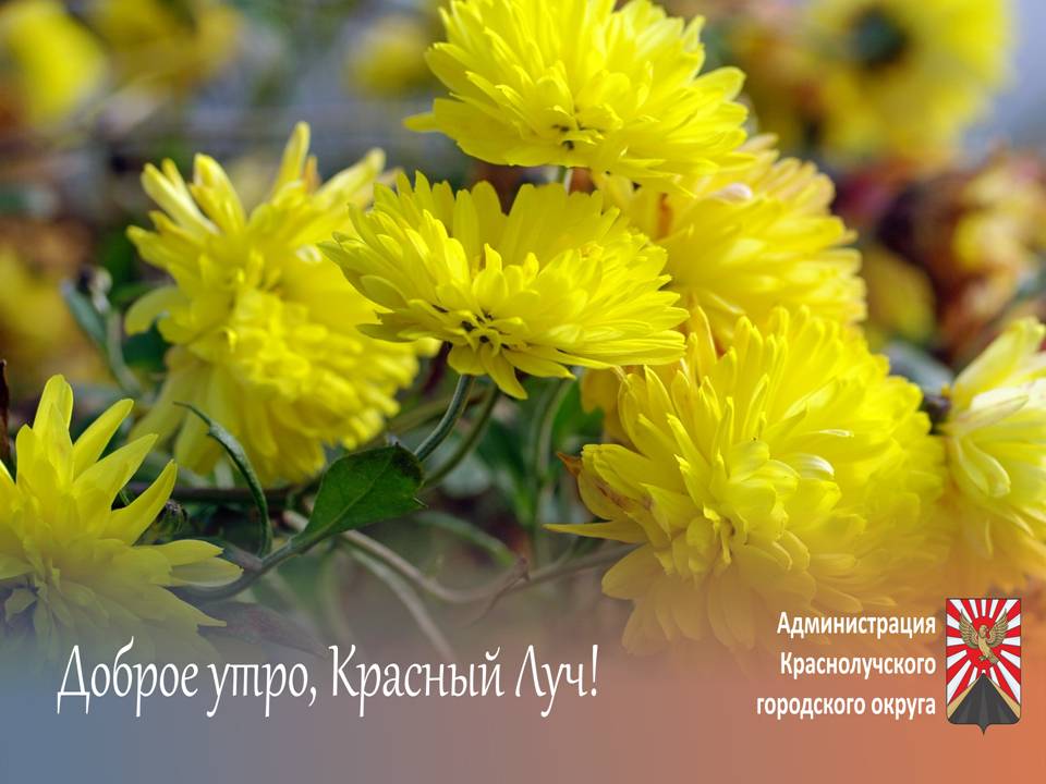 Доброе утро, краснолучане и гости города!