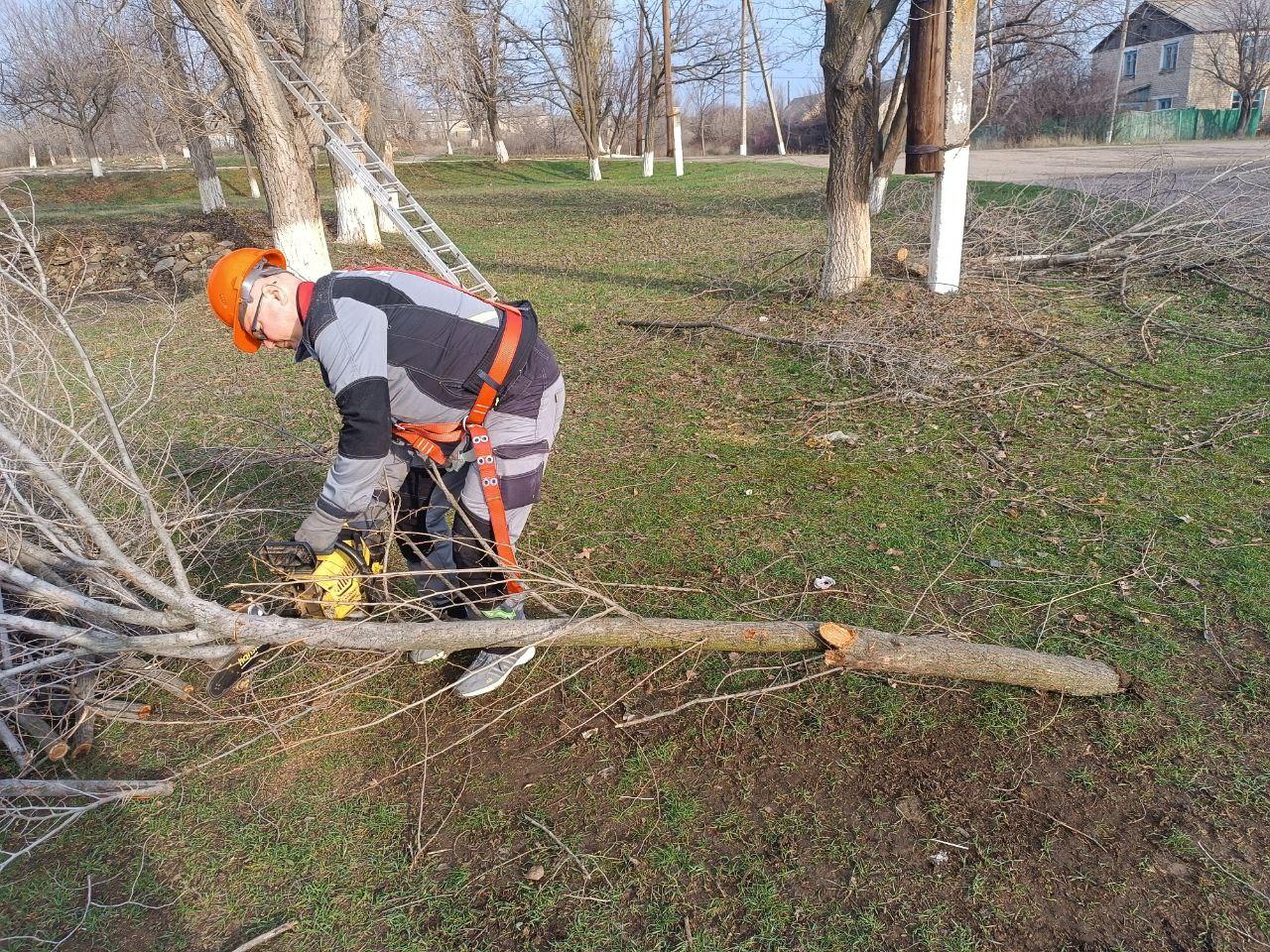 В Македоновке расчистили от аварийных деревьев территорию у Дома культуры В Македоновке расчистили от аварийных деревьев территорию у Дома культуры