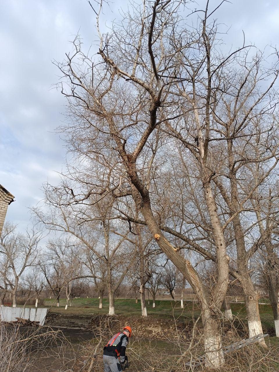 В Македоновке расчистили от аварийных деревьев территорию у Дома культуры В Македоновке расчистили от аварийных деревьев территорию у Дома культуры