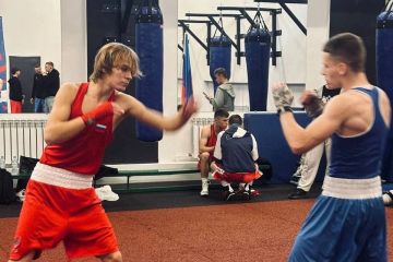 В Алчевске проходит «УниверЛига регионов» по боксу