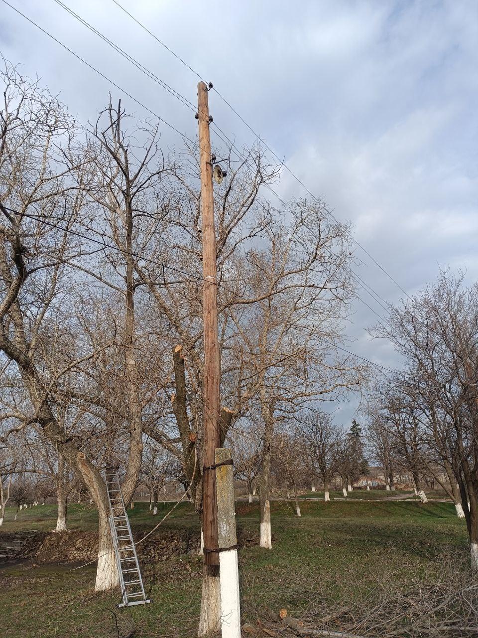 В Македоновке расчистили от аварийных деревьев территорию у Дома культуры В Македоновке расчистили от аварийных деревьев территорию у Дома культуры
