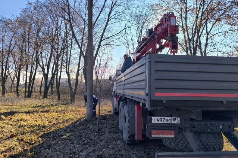 Специалисты МУП «Горсвет» благоустраивают Парк культуры и отдыха им. Героев Сталинградской битвы Специалисты МУП «Горсвет» благоустраивают Парк культуры и отдыха им. Героев Сталинградской битвы