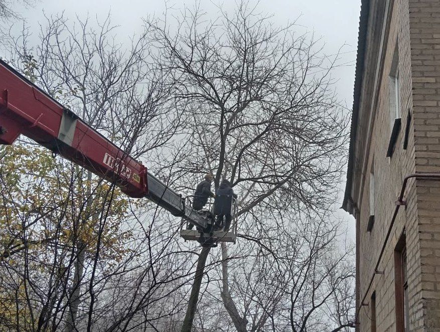 Коммунальные службы проводят работы на территории города Коммунальные службы проводят работы на территории города