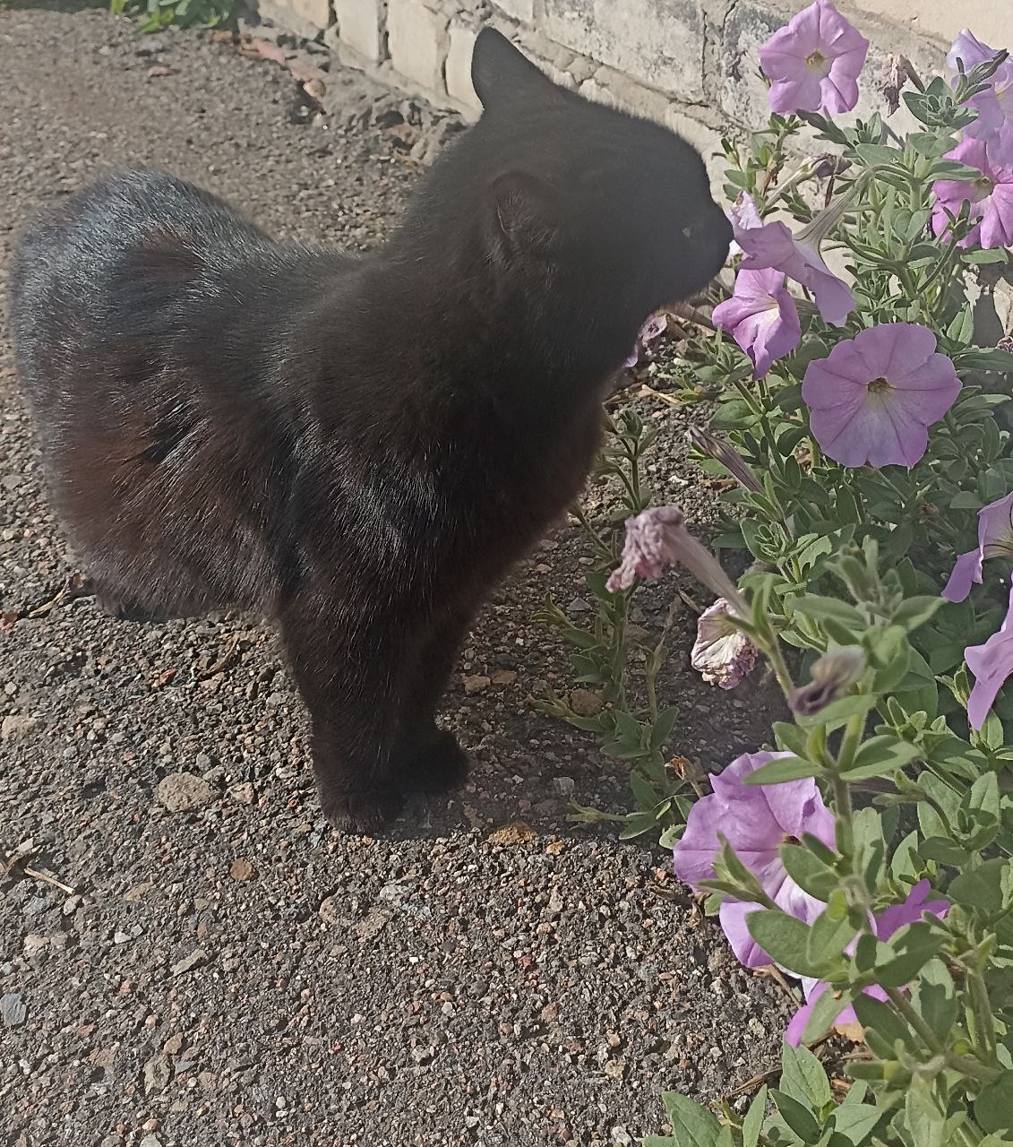 27 ноября на территории Луганской Народной Республики будет облачно с прояснениями.Преимущественно без осадков
