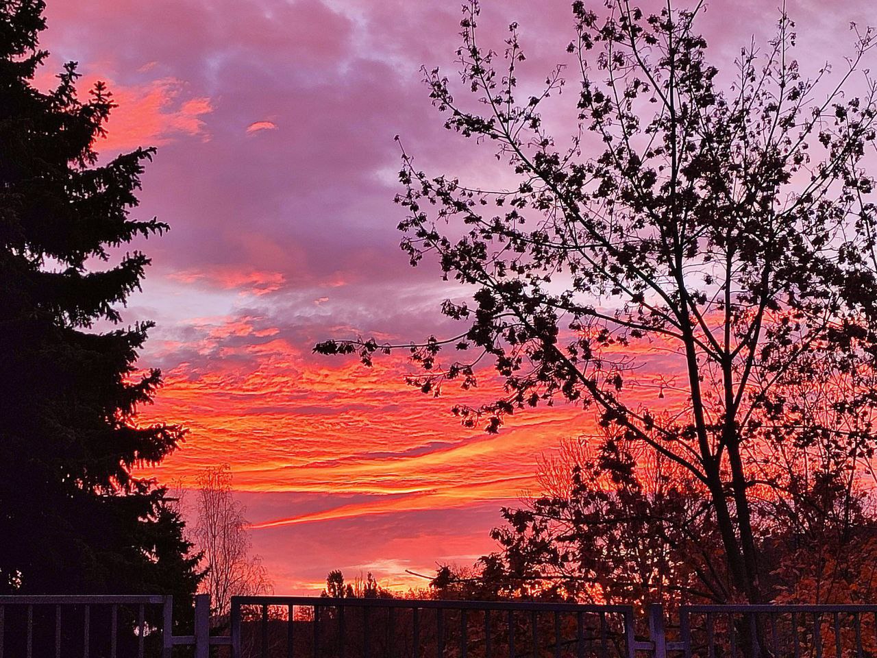 Синоптики прогнозируют 27 ноября в ЛНР от нуля градусов ночью до 11 градусов тепла днем, ночью и в первой половине дня местами туман