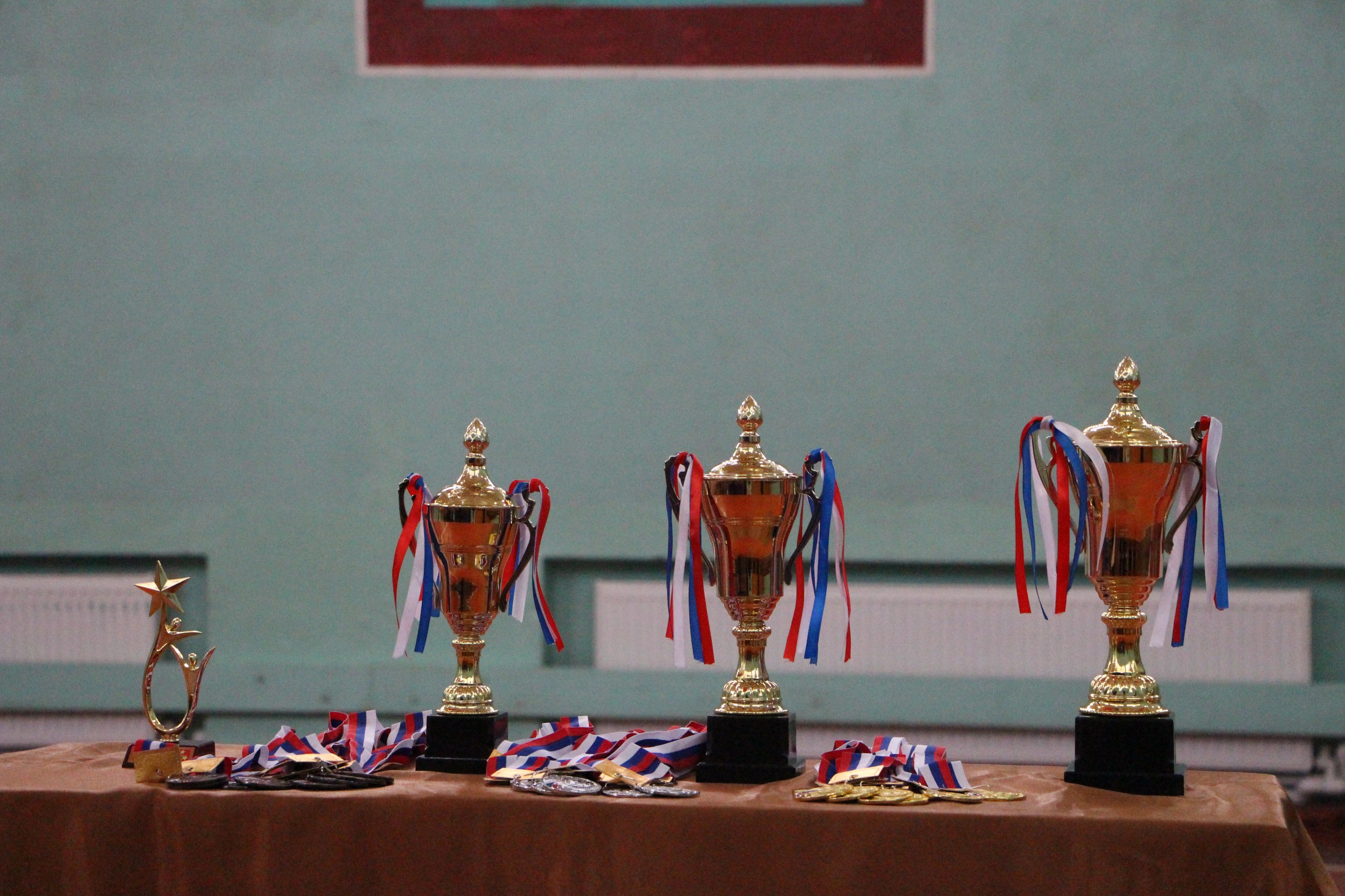 Турнир по футзалу ко Дню флага: юные спортсмены в игре! Турнир по футзалу ко Дню флага: юные спортсмены в игре!