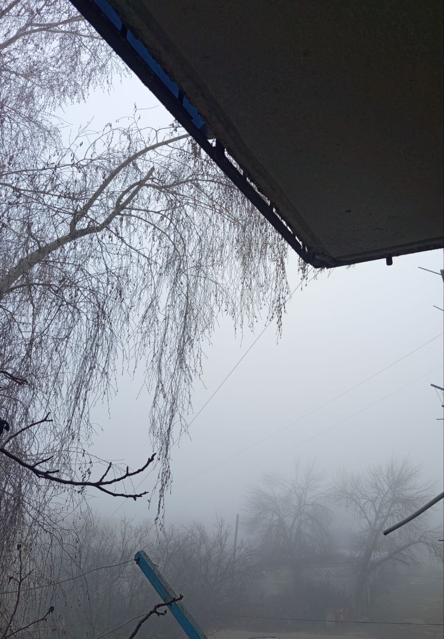 Вот такой туман - густой, как молоко - наблюдается сейчас в одном из северных районов ЛНР