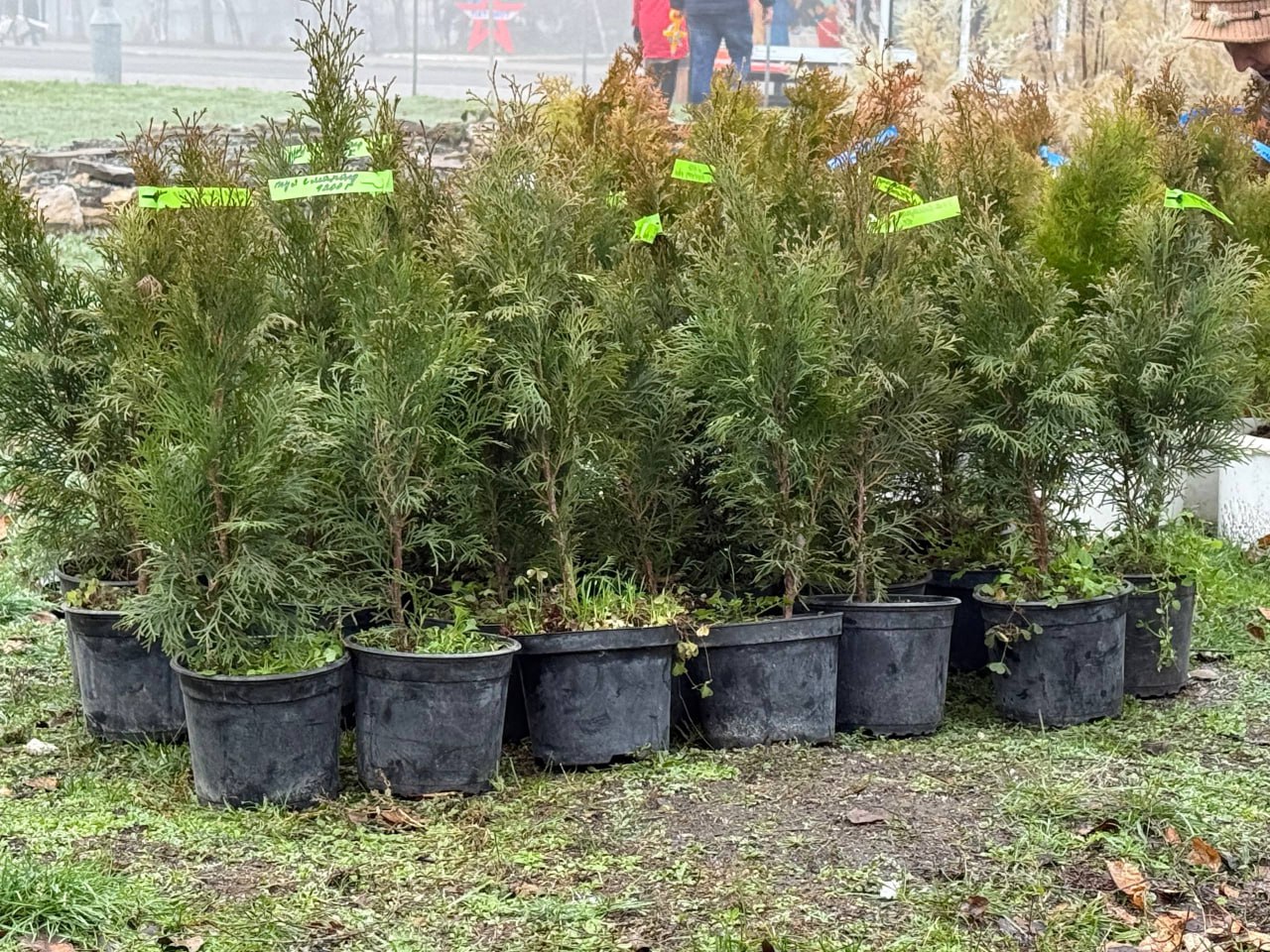 Виктория Сергеева: Инициативное бюджетирование - инструмент для реализации народных идей Виктория Сергеева: Инициативное бюджетирование - инструмент для реализации народных идей