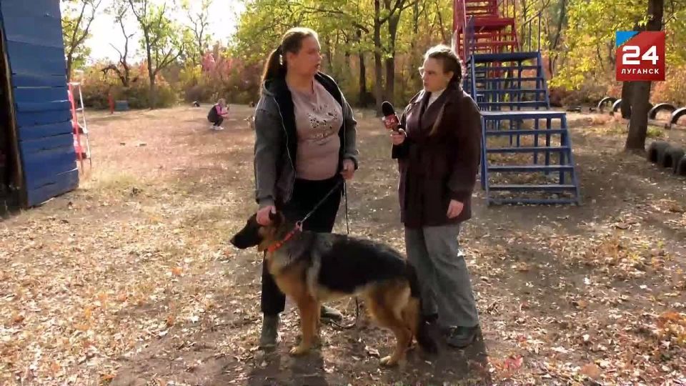 Овчарка – ваш самый преданный друг и охранник