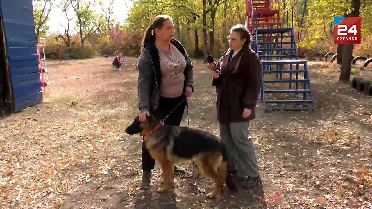 Овчарка – ваш самый преданный друг и охранник