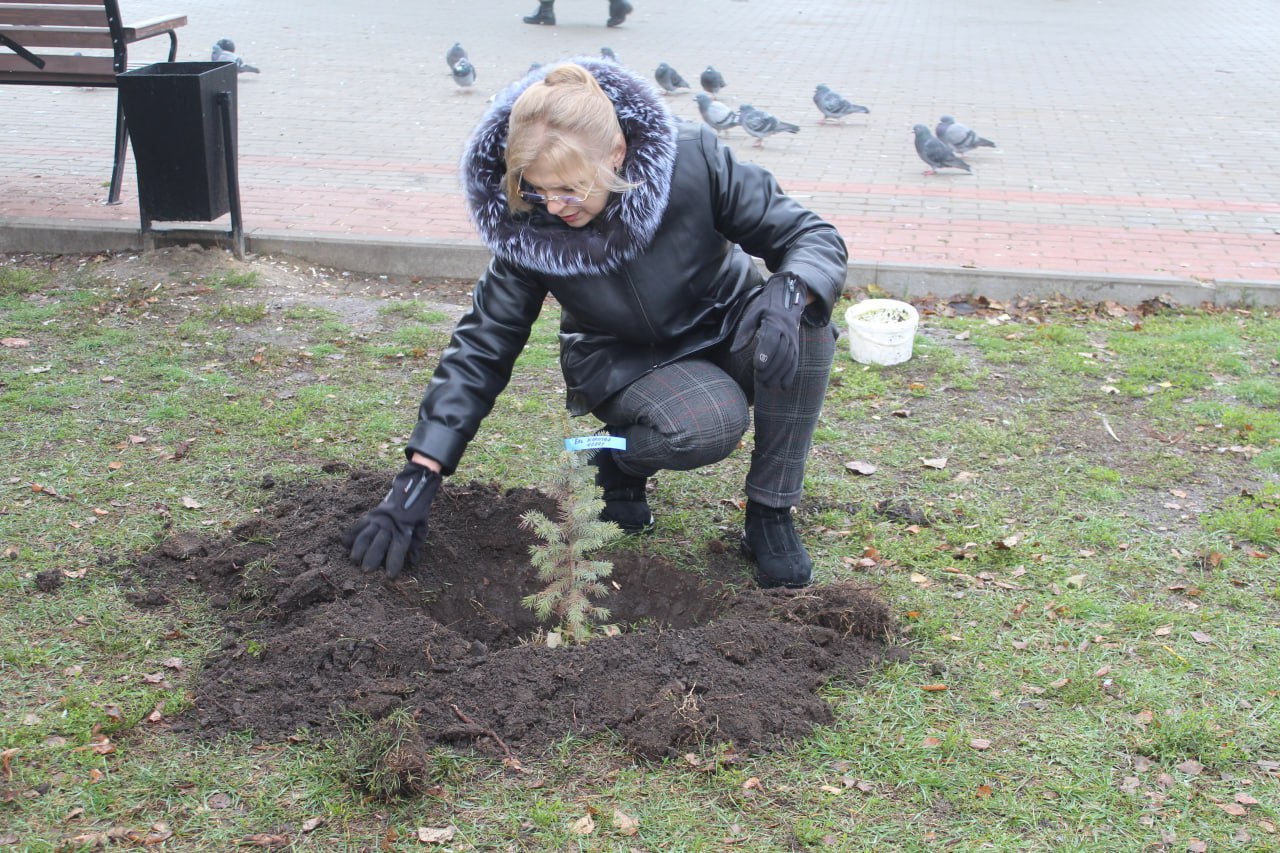 Виктория Сергеева: Инициативное бюджетирование - инструмент для реализации народных идей