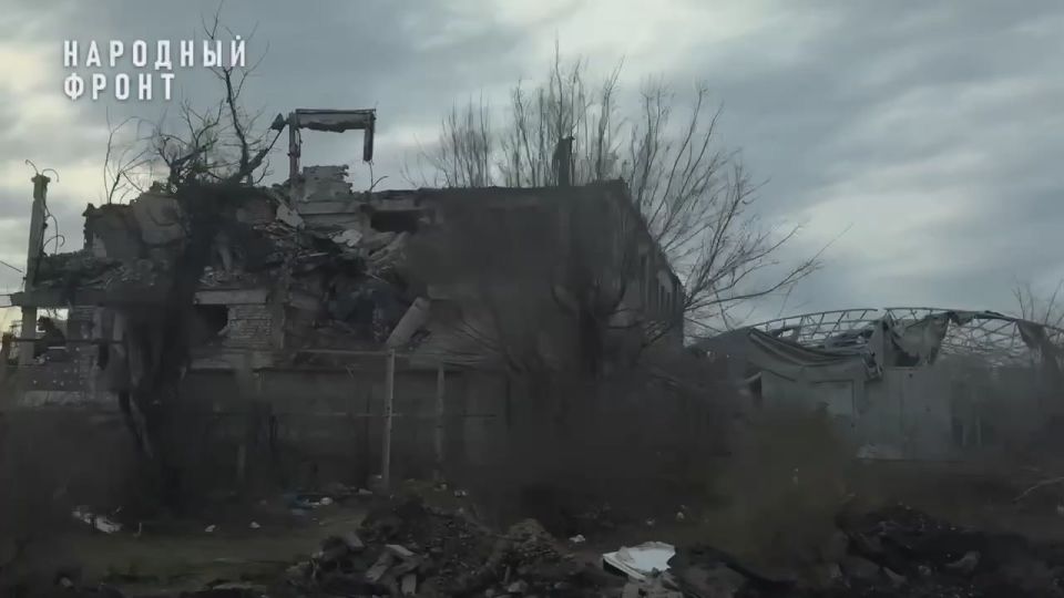 Работаем на опережение: помощь, которая действительно спасает