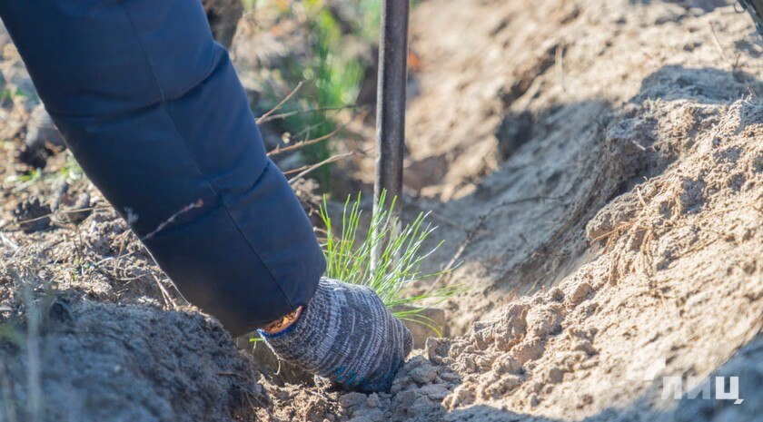 Более 60 млрд рублей выделят Донбассу и Новороссии на восстановление экологического баланса до 2030 года