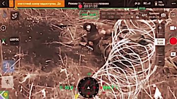 Юлия Чичерина - ЗАРЯ 2025 (премьера клипа)