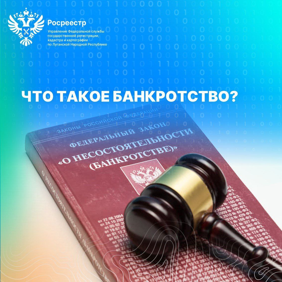 Сотрудники Управления Росреестра по ЛНР приняли участие в 108 судебных заседаниях по делам о банкротстве с начала года