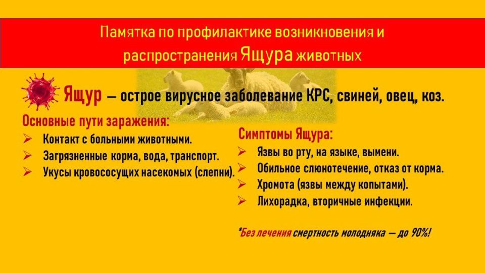Важная информация о предотвращении Ящура среди животных Важная информация о предотвращении Ящура среди животных