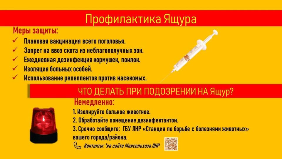Важная информация о предотвращении Ящура среди животных Важная информация о предотвращении Ящура среди животных