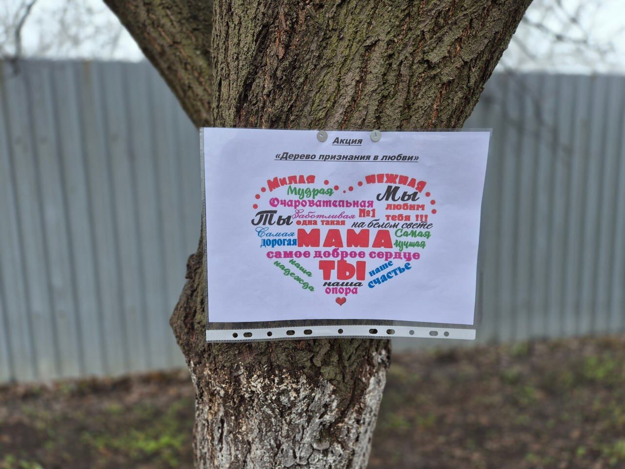«Дерево признания в любви мамам»: тёплый праздник в Дубовском «Дерево признания в любви мамам»: тёплый праздник в Дубовском