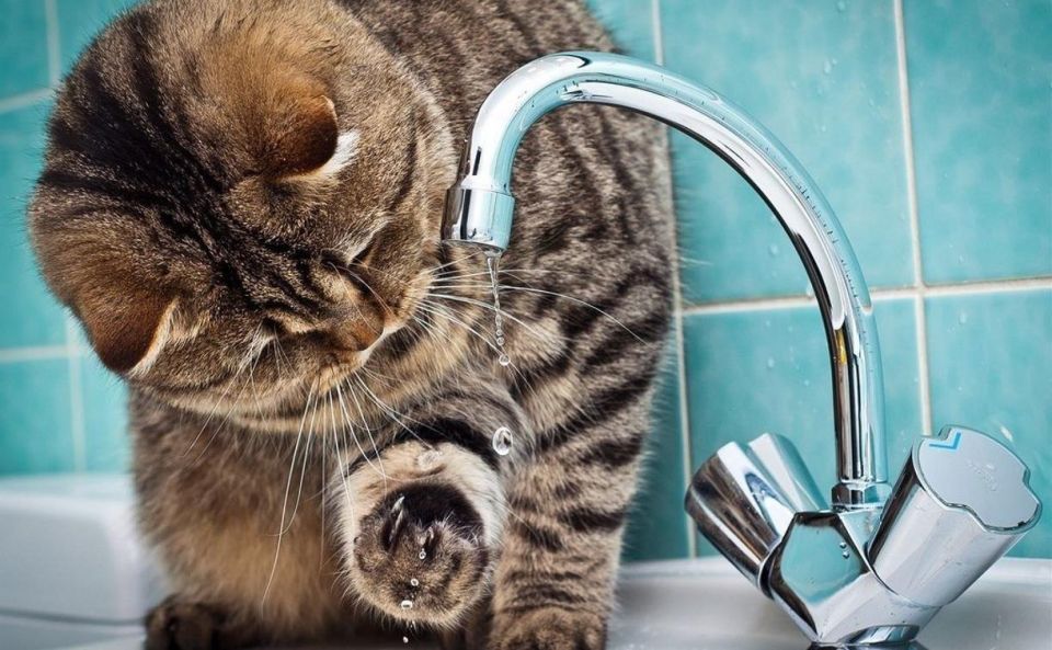    &quot;&quot;  ,   27      -  