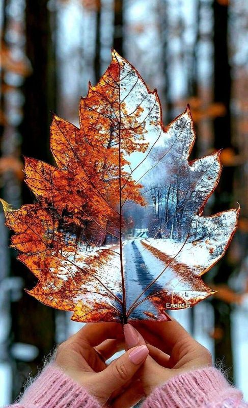 С ДОБРЫМ УТРОМ!. Сегодня 27 ноября, четверг