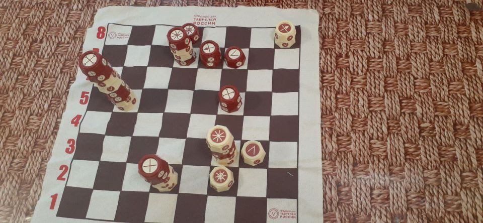 В Краснодоне состоялся турнир по русским шахматам среди молодежи с особенностями здоровья