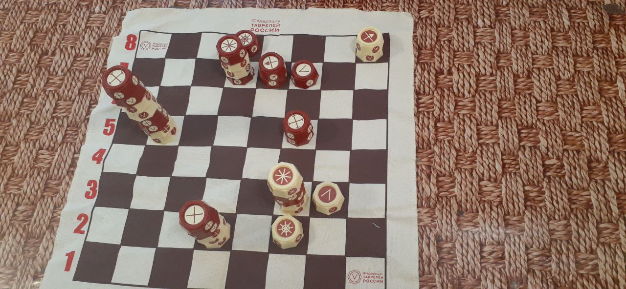 В Краснодоне состоялся турнир по русским шахматам среди молодежи с особенностями здоровья