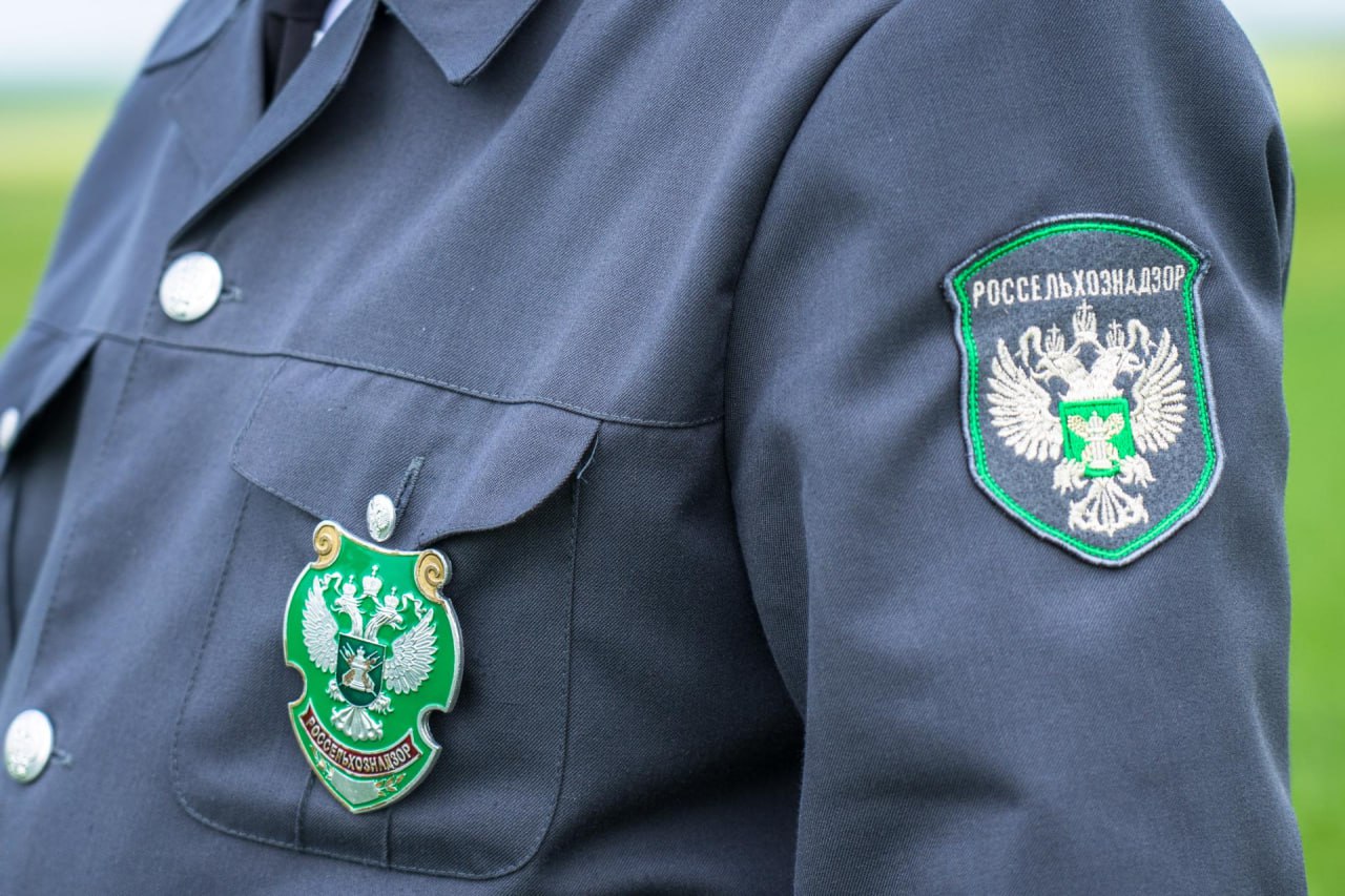 Россельхознадзор пресек нарушения при декларировании зерна в ЛНР