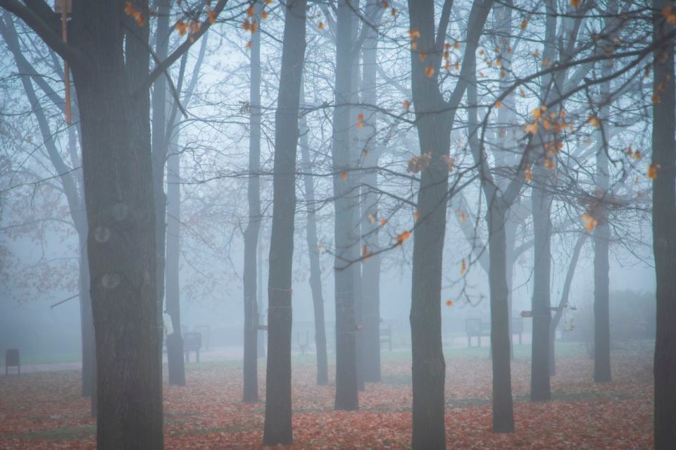 Синоптики прогнозируют 28 ноября в ЛНР от плюс 1 градуса ночью до 15 градусов тепла днем, местами ожидается небольшой дождь и туман