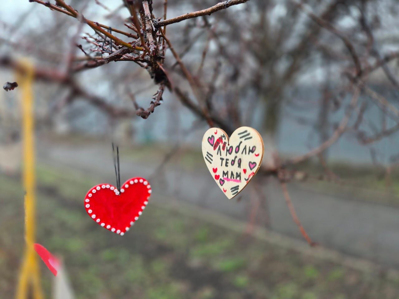 «Дерево признания в любви мамам»: тёплый праздник в Дубовском «Дерево признания в любви мамам»: тёплый праздник в Дубовском