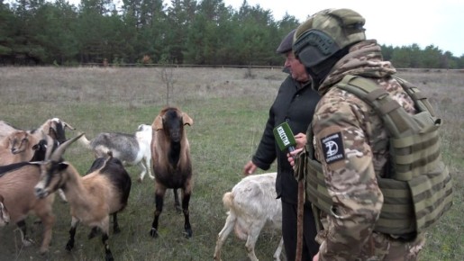 Дмитрий Зименкин: - А это кто?... - Нубийский или нудистский. Или хрен его знает…