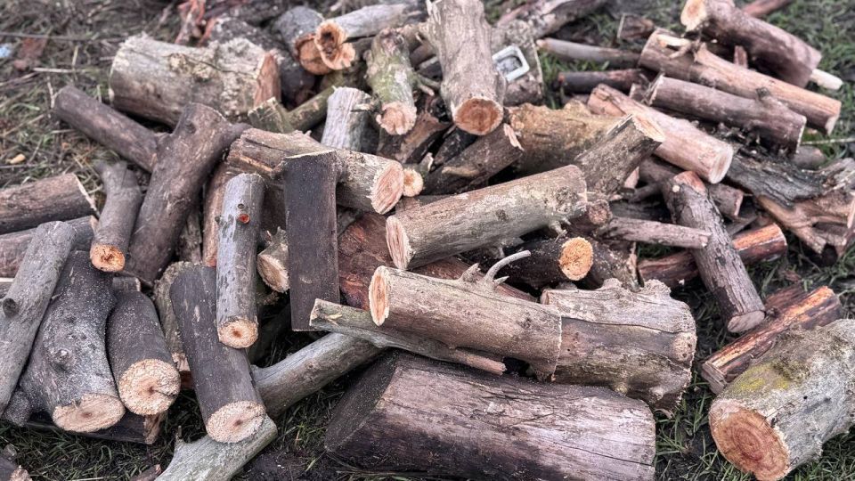 ������� ���������� ������ ���������������� ��� ����������� ��������� � ����������� ���������� ��������� �22 �. �������� ������ ������� ������� ������� ���������� ����� � �������� ������������ ������ ������������...