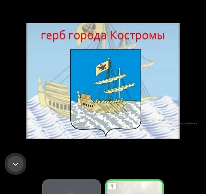 Костромская и Зориковская школа провели совместный исторический урок Костромская и Зориковская школа провели совместный исторический урок