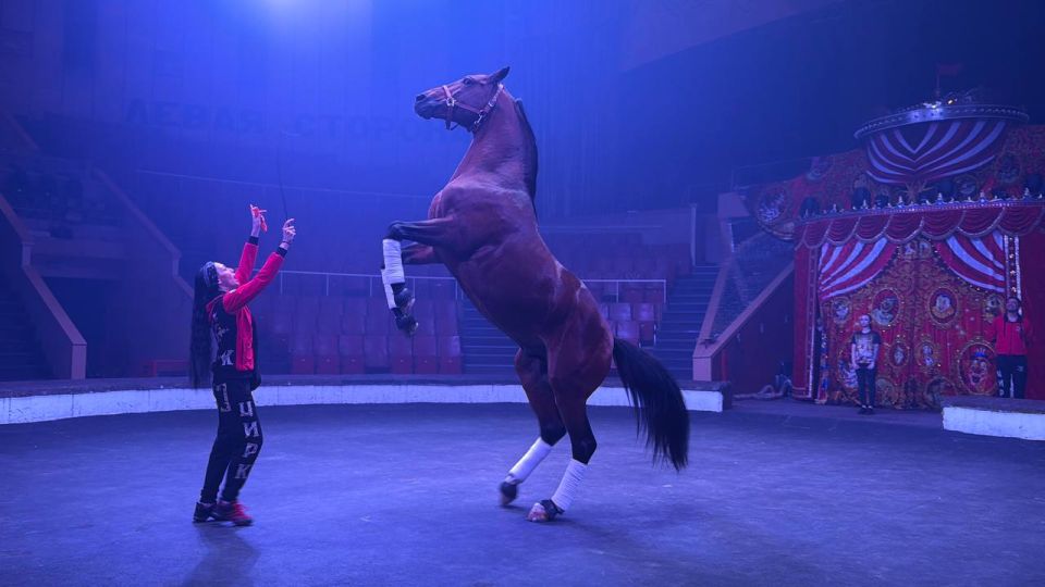 �� �������� ��������� ������: ��� ������ ���������� ������-����� ��� ���� �������� ��������