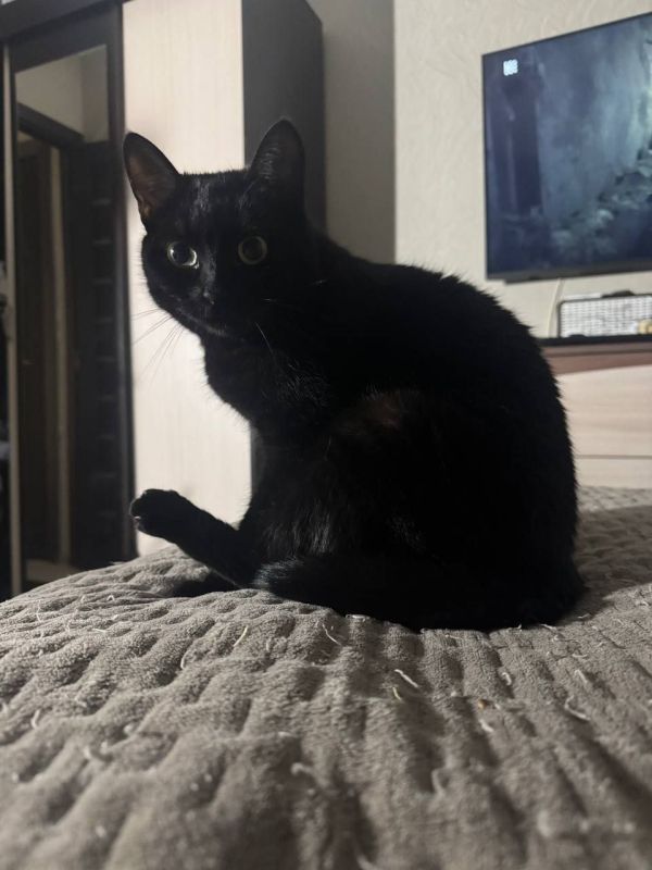 29 ноября на территории Луганской Народной Республики прогнозируется переменная облачность