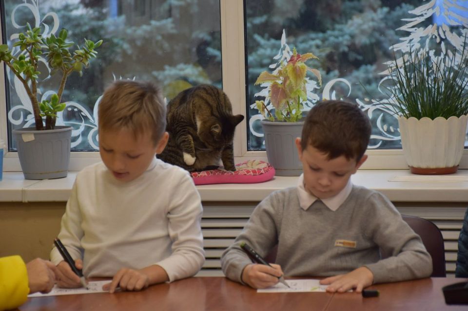 30 ноября в России отмечается Международный день защиты домашних животных 30 ноября в России отмечается Международный день защиты домашних животных