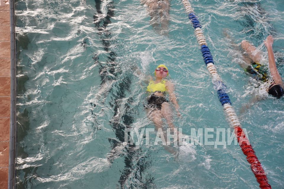 В Красном Луче состоялись соревнования по плаванию В Красном Луче состоялись соревнования по плаванию