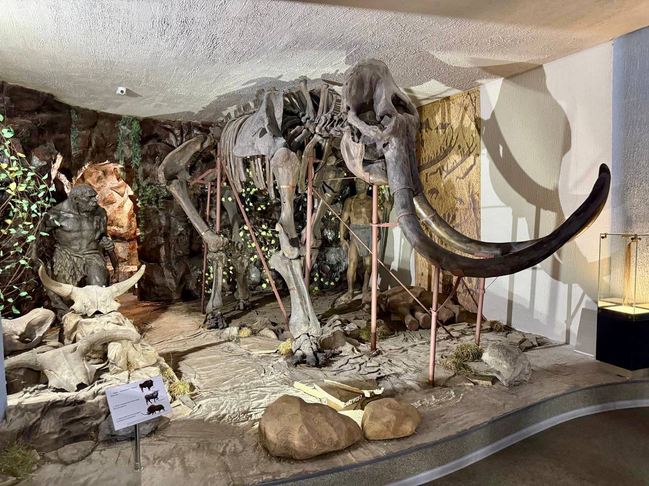 Сегодня нахожусь в Донецкой Народной Республике Сегодня нахожусь в Донецкой Народной Республике