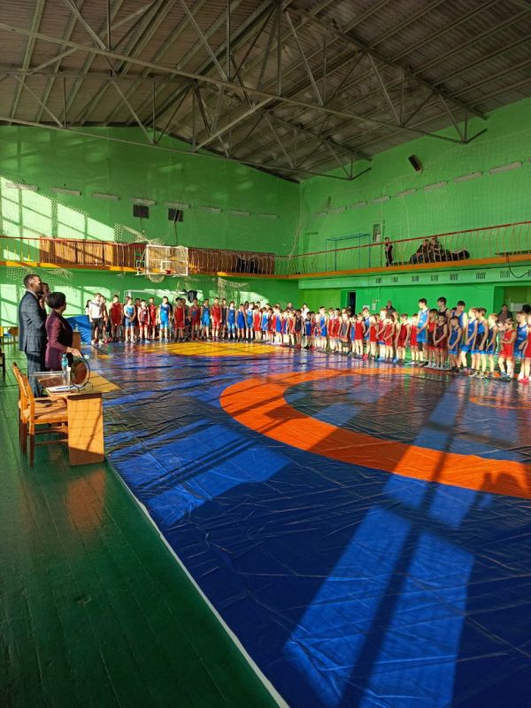 Открытый турнир по вольной борьбе Открытый турнир по вольной борьбе