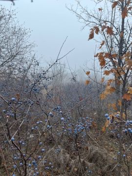 30 ноября на территории Луганской Народной Республики будет облачно с прояснениями