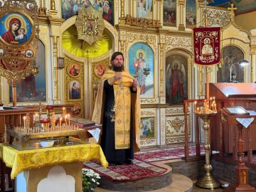  :            ,          - ,  ...