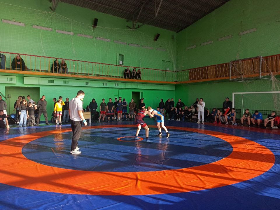 Открытый турнир по вольной борьбе Открытый турнир по вольной борьбе