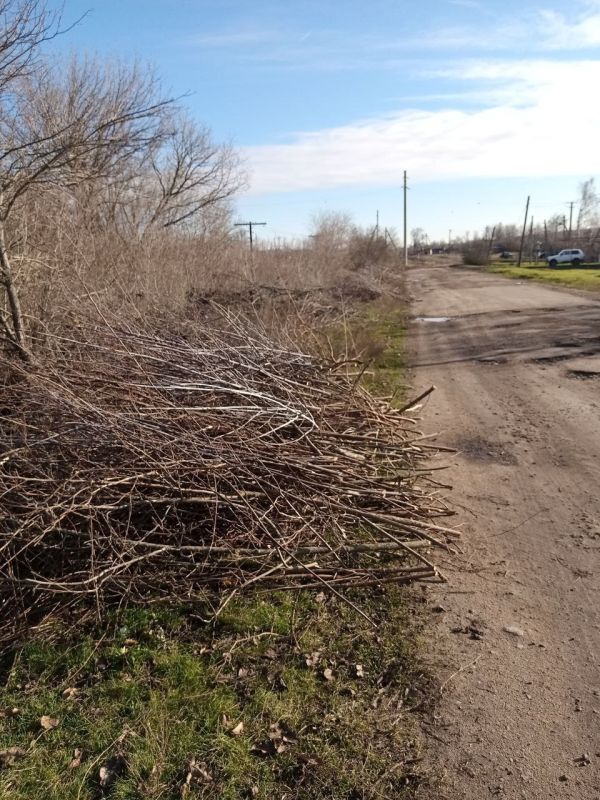 ЕЖЕДНЕВНЫЕ ХЛОПОТЫ КОММУНАЛЬНЫХ СЛУЖБ ЕЖЕДНЕВНЫЕ ХЛОПОТЫ КОММУНАЛЬНЫХ СЛУЖБ