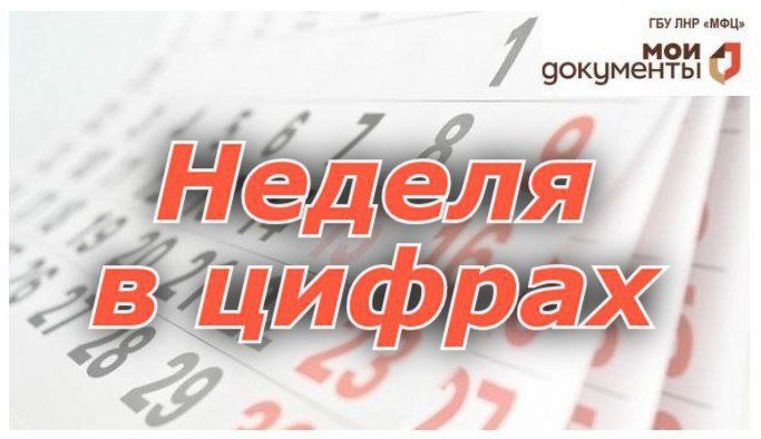 Порядка 42 997 заявлений принято сотрудниками МФЦ ЛНР за прошедшую неделю