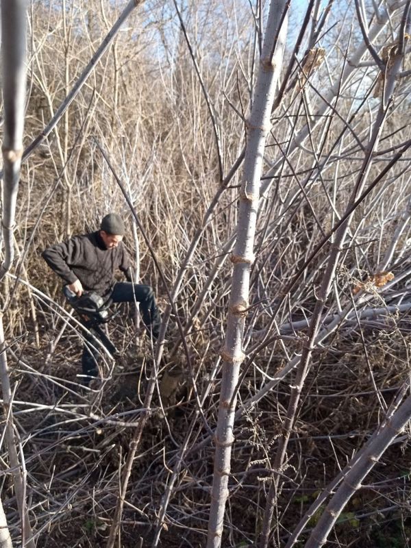 ЕЖЕДНЕВНЫЕ ХЛОПОТЫ КОММУНАЛЬНЫХ СЛУЖБ ЕЖЕДНЕВНЫЕ ХЛОПОТЫ КОММУНАЛЬНЫХ СЛУЖБ