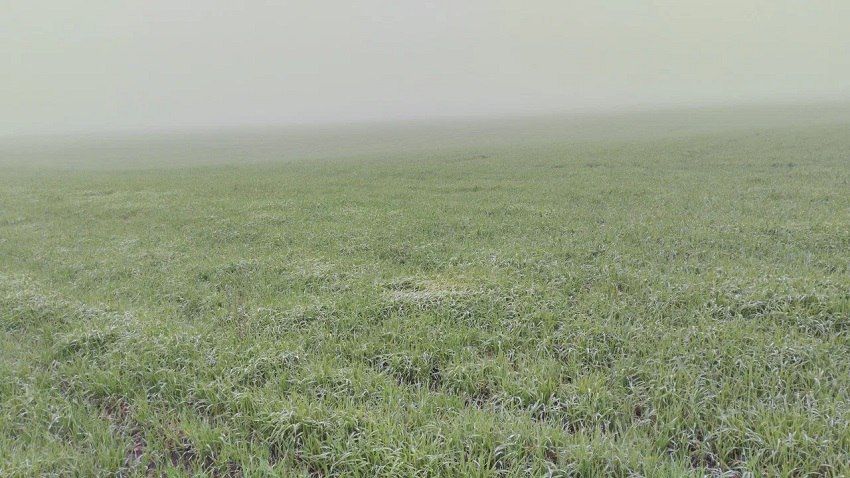 ������ � ��� ������� ������ � ����: �������� ���� ������������� �������